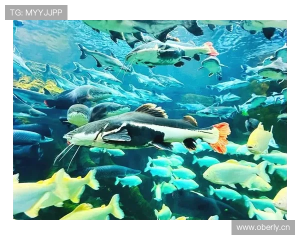 黄金岛探秘:揭秘隐藏在海洋深处的神秘宝藏与失落文明 黄金岛探秘:揭秘隐藏在海洋深处的神秘宝藏与失落文明