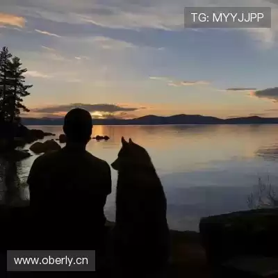 柯恋旖